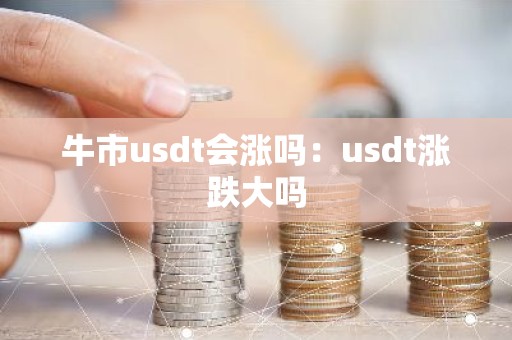 牛市usdt会涨吗：usdt涨跌大吗