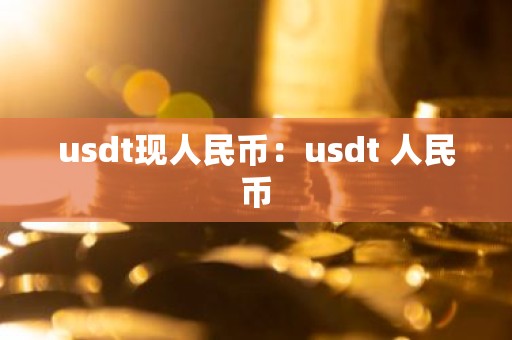 usdt现人民币：usdt 人民币