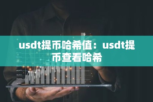 usdt提币哈希值：usdt提币查看哈希