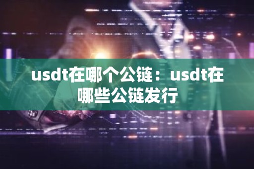 usdt在哪个公链：usdt在哪些公链发行