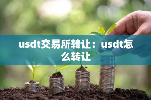 usdt交易所转让：usdt怎么转让