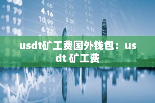 usdt矿工费国外钱包：usdt 矿工费