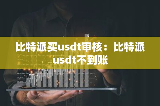 比特派买usdt审核：比特派usdt不到账