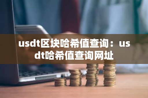 usdt区块哈希值查询：usdt哈希值查询网址