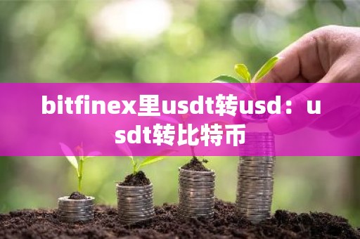 bitfinex里usdt转usd：usdt转比特币