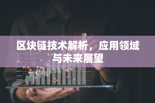 区块链技术解析，应用领域与未来展望