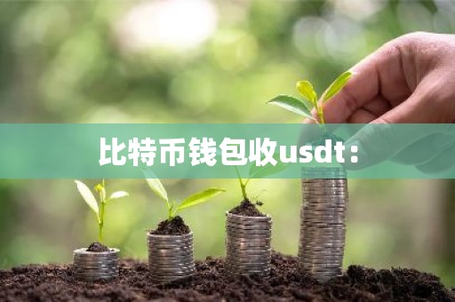比特币钱包收usdt：