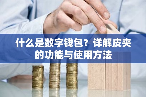 什么是数字钱包？详解皮夹的功能与使用方法
