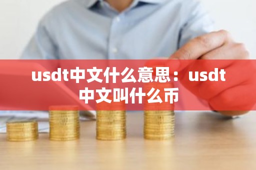 usdt中文什么意思：usdt中文叫什么币
