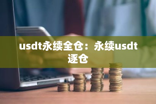 usdt永续全仓：永续usdt逐仓