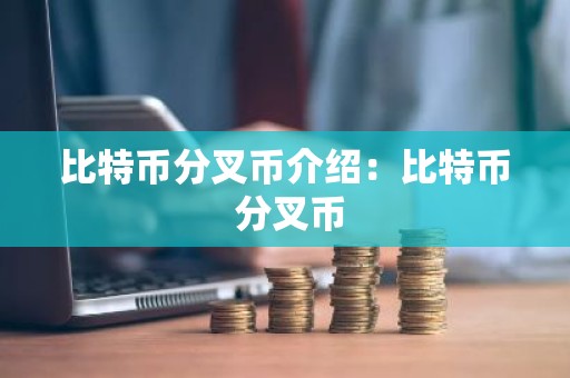比特币分叉币介绍：比特币 分叉币