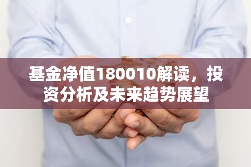 基金净值180010解读，投资分析及未来趋势展望