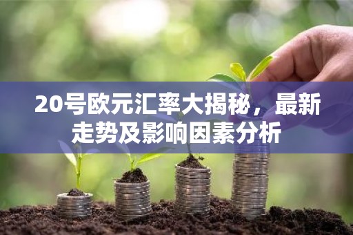 20号欧元汇率大揭秘，最新走势及影响因素分析