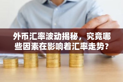 外币汇率波动揭秘，究竟哪些因素在影响着汇率走势？