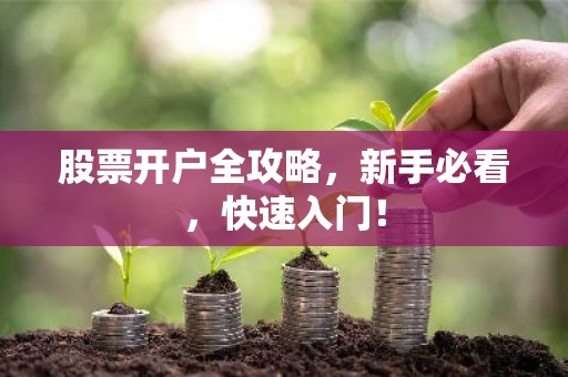 股票开户全攻略，新手必看，快速入门！