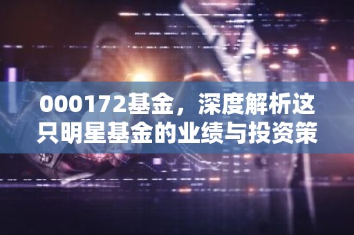 000172基金，深度解析这只明星基金的业绩与投资策略