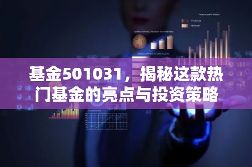 基金501031，揭秘这款热门基金的亮点与投资策略