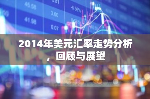 2014年美元汇率走势分析，回顾与展望