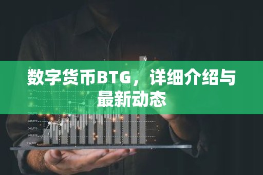 数字货币BTG，详细介绍与最新动态