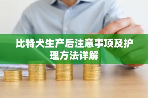 比特犬生产后注意事项及护理方法详解