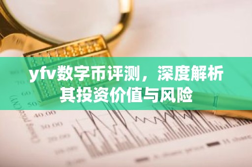 yfv数字币评测，深度解析其投资价值与风险