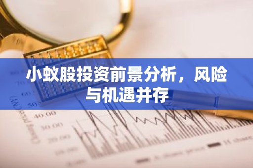 小蚁股投资前景分析，风险与机遇并存
