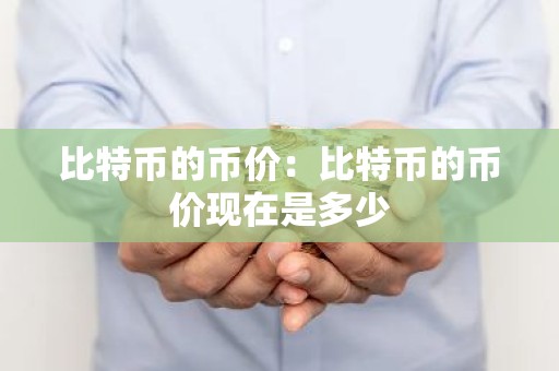 比特币的币价：比特币的币价现在是多少