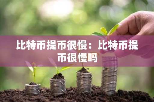比特币提币很慢：比特币提币很慢吗