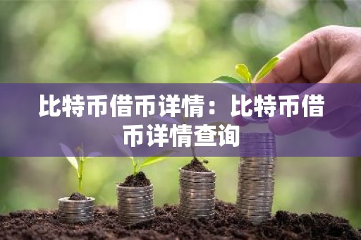 比特币借币详情：比特币借币详情查询