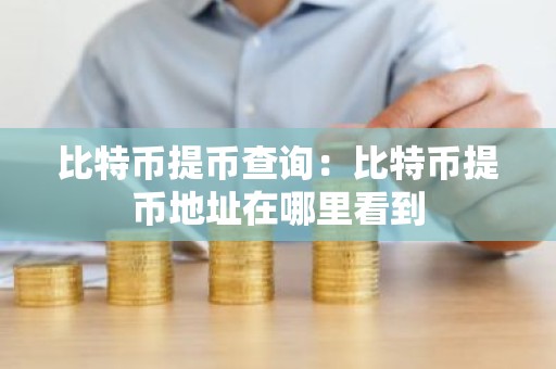 比特币提币查询：比特币提币地址在哪里看到