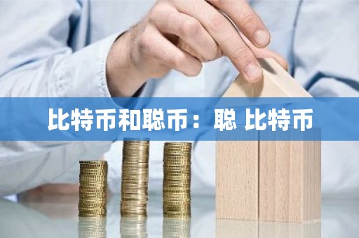 比特币和聪币：聪 比特币