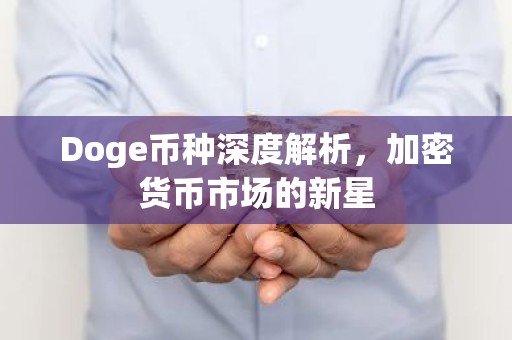 Doge币种深度解析，加密货币市场的新星