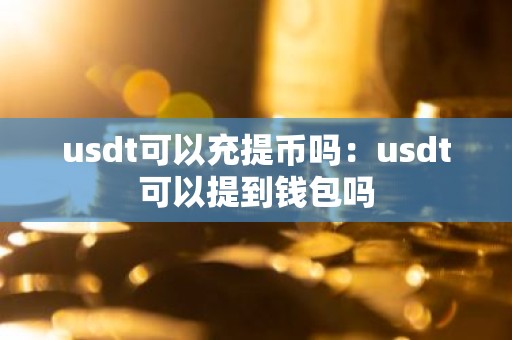 usdt可以充提币吗：usdt可以提到钱包吗