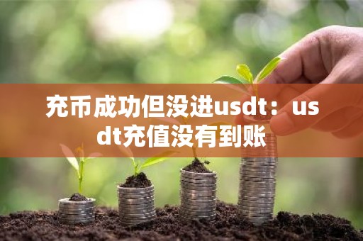 充币成功但没进usdt：usdt充值没有到账