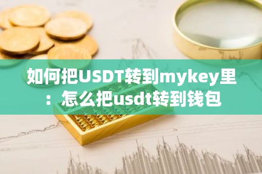 如何把USDT转到mykey里：怎么把usdt转到钱包