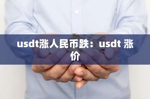 usdt涨人民币跌：usdt 涨价