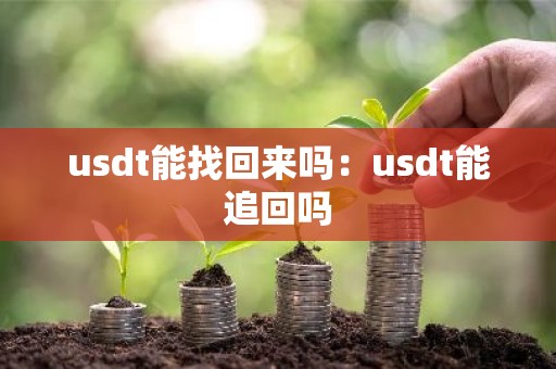 usdt能找回来吗：usdt能追回吗