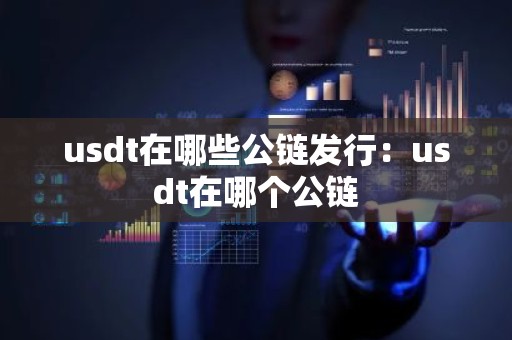 usdt在哪些公链发行：usdt在哪个公链
