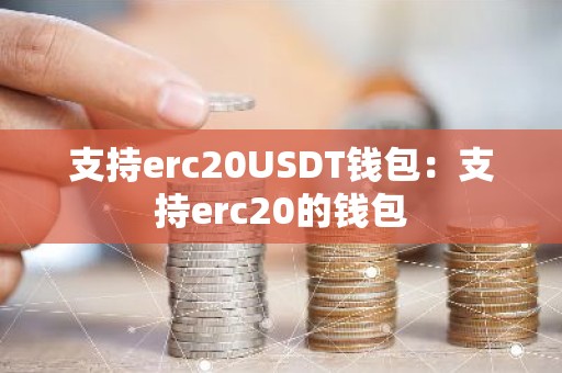 支持erc20USDT钱包：支持erc20的钱包
