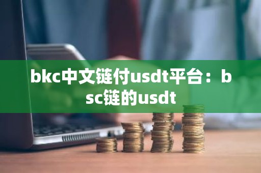bkc中文链付usdt平台：bsc链的usdt
