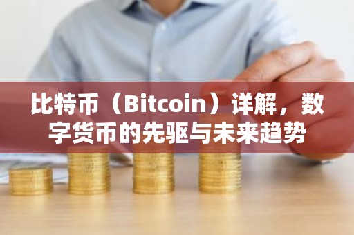 比特币（Bitcoin）详解，数字货币的先驱与未来趋势