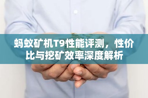 蚂蚁矿机T9性能评测，性价比与挖矿效率深度解析