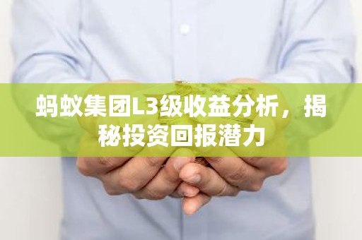 蚂蚁集团L3级收益分析，揭秘投资回报潜力