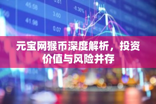 元宝网猴币深度解析，投资价值与风险并存