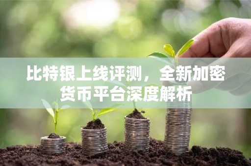 比特银上线评测，全新加密货币平台深度解析