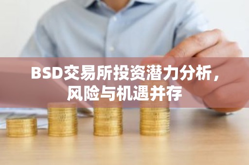 BSD交易所投资潜力分析，风险与机遇并存