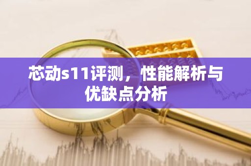 芯动s11评测，性能解析与优缺点分析