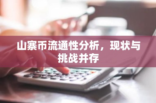 山寨币流通性分析，现状与挑战并存
