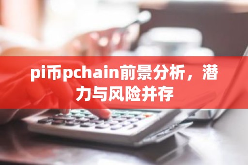 pi币pchain前景分析，潜力与风险并存