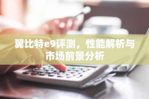 翼比特e9评测，性能解析与市场前景分析